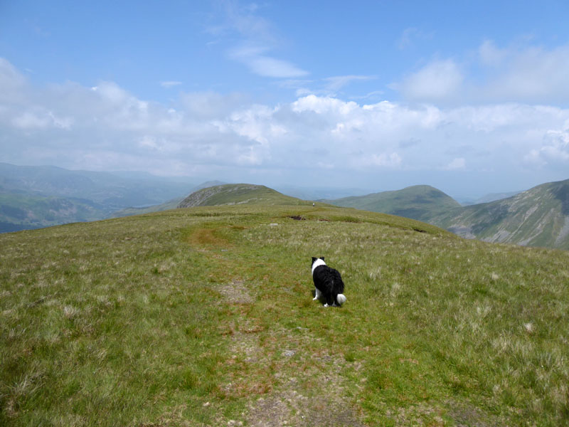 Molly on Gray Crag